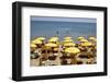 A Classical Lido on the Ionian Sea, on the Basilcata South Coast, Italy, Europe-Olivier Goujon-Framed Photographic Print