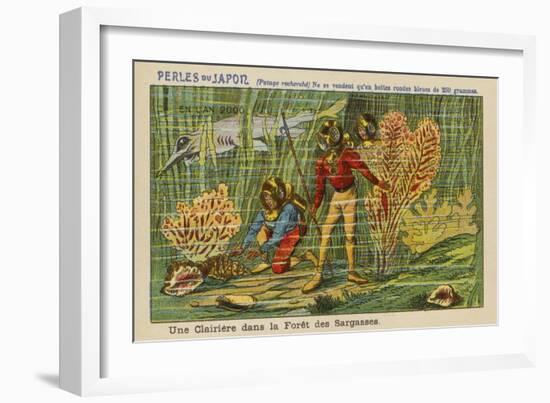 A Clearing in the Sargasso Forest in the Year 2000-null-Framed Giclee Print