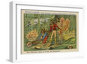 A Clearing in the Sargasso Forest in the Year 2000-null-Framed Giclee Print