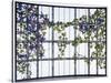 A 'Clematis' Leaded Glass Three-Sectioned Skylight, Akron, Ohio, Circa 1915-Maurice Bouval-Stretched Canvas