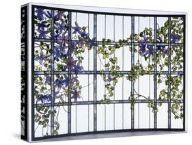 A 'Clematis' Leaded Glass Three-Sectioned Skylight, Akron, Ohio, Circa 1915-Maurice Bouval-Stretched Canvas