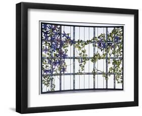 A 'Clematis' Leaded Glass Three-Sectioned Skylight, Akron, Ohio, Circa 1915-Maurice Bouval-Framed Giclee Print