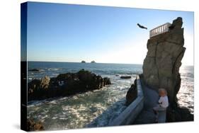 A Cliff Diver Plunges into the Pacific Ocean.-robcocquyt-Stretched Canvas