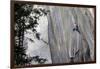 A climber ascending a difficult crack climb, Cadarese Valley, northern Italy, Europe-David Pickford-Framed Photographic Print