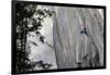 A climber ascending a difficult crack climb, Cadarese Valley, northern Italy, Europe-David Pickford-Framed Photographic Print