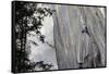 A climber ascending a difficult crack climb, Cadarese Valley, northern Italy, Europe-David Pickford-Framed Stretched Canvas