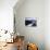 A Climber Enjoying the View Over the Mountain Landscape, Chile-Pablo Sandor-Photographic Print displayed on a wall