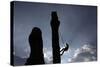 A Climber Reaches the Top of an Outdoor Climbing Wall in Berlin-Pawel Kopczynski-Stretched Canvas