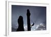 A Climber Reaches the Top of an Outdoor Climbing Wall in Berlin-Pawel Kopczynski-Framed Photographic Print