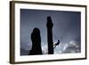 A Climber Reaches the Top of an Outdoor Climbing Wall in Berlin-Pawel Kopczynski-Framed Photographic Print