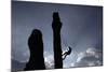 A Climber Reaches the Top of an Outdoor Climbing Wall in Berlin-Pawel Kopczynski-Mounted Photographic Print