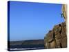 A Climber Tackles a Difficult Route on the Cliffs Near Sennen Cove, Cornwall, England-David Pickford-Stretched Canvas