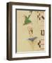 A Cloaked Cherub Trying to Catch a Flying Bird-Filippo Di Matteo Torelli-Framed Giclee Print