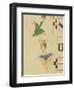 A Cloaked Cherub Trying to Catch a Flying Bird-Filippo Di Matteo Torelli-Framed Giclee Print