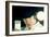 A Clockwork Orange, Malcolm Mcdowell, 1971-null-Framed Premium Photographic Print