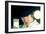 A Clockwork Orange, Malcolm Mcdowell, 1971-null-Framed Photo