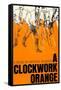 A Clockwork Orange-null-Framed Stretched Canvas