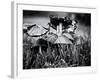 A Close-Up of Small Mushroom in the Grass-Henriette Lund Mackey-Framed Photographic Print