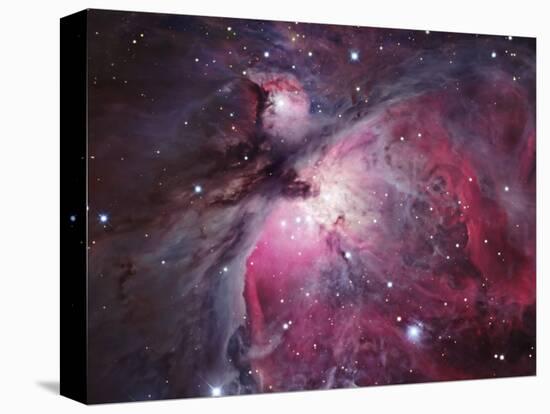 A Close up of the Orion Nebula-Stocktrek Images-Stretched Canvas