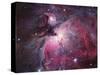 A Close up of the Orion Nebula-Stocktrek Images-Stretched Canvas