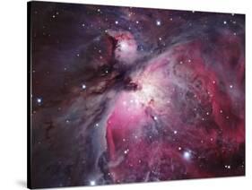 A Close up of the Orion Nebula-Stocktrek Images-Stretched Canvas