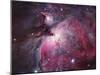 A Close up of the Orion Nebula-Stocktrek Images-Mounted Premium Photographic Print