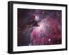 A Close up of the Orion Nebula-Stocktrek Images-Framed Photographic Print