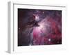 A Close up of the Orion Nebula-Stocktrek Images-Framed Photographic Print