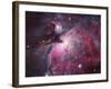 A Close up of the Orion Nebula-Stocktrek Images-Framed Photographic Print