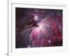 A Close up of the Orion Nebula-Stocktrek Images-Framed Photographic Print