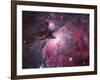 A Close up of the Orion Nebula-Stocktrek Images-Framed Photographic Print