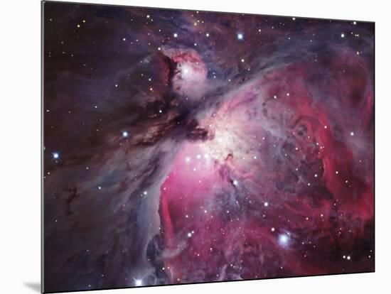 A Close up of the Orion Nebula-Stocktrek Images-Mounted Photographic Print
