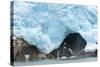 A Close Up View of the Terminus of a Resurrection Bay Glacier-Sheila Haddad-Stretched Canvas