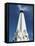 A Closed Up View of Astronomers Monument at Griffith Observatory, Los Angeles, California, Usa-Bruce Yuanyue Bi-Framed Stretched Canvas