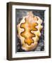 A Closeup of a Colorful Nudibranch with a Black and White Background-Eric Peter Black-Framed Photographic Print