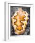 A Closeup of a Colorful Nudibranch with a Black and White Background-Eric Peter Black-Framed Photographic Print