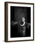 A Clowns Death (Serie)-Johan Lilja-Framed Photographic Print