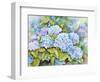 A Cluster of Hydrangeas-Joanne Porter-Framed Giclee Print