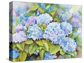 A Cluster of Hydrangeas-Joanne Porter-Stretched Canvas