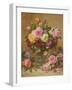 A Cluster of Victorian Roses-Albert Williams-Framed Giclee Print