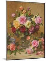 A Cluster of Victorian Roses-Albert Williams-Mounted Giclee Print