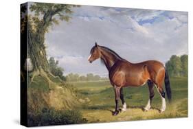 A Clydesdale Stallion, 1820-John Frederick Herring I-Stretched Canvas