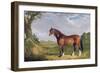 A Clydesdale Stallion, 1820-John Frederick Herring I-Framed Giclee Print