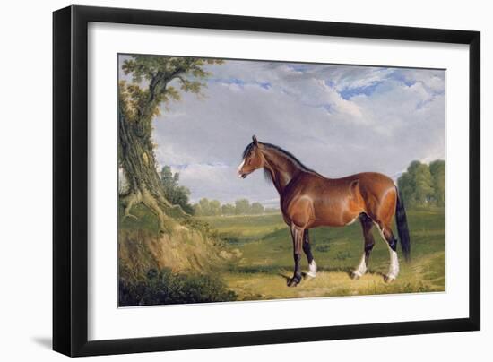 A Clydesdale Stallion, 1820-John Frederick Herring I-Framed Giclee Print