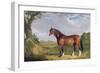 A Clydesdale Stallion, 1820-John Frederick Herring I-Framed Giclee Print