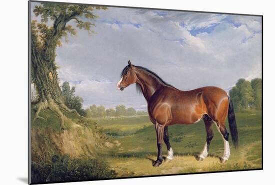 A Clydesdale Stallion, 1820-John Frederick Herring I-Mounted Giclee Print