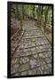 A Cobble Stone Path Leading Through the Grounds of Kasuga Taisha Shrine in Nara, Japan-Paul Dymond-Framed Photographic Print