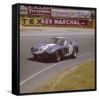 A Cobra Daytona Ford, Le Mans, France, 1965-null-Framed Stretched Canvas