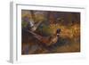 A Cock and Hen Pheasant at the Edge of a Wood-Archibald Thorburn-Framed Giclee Print