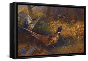 A Cock and Hen Pheasant at the Edge of a Wood-Archibald Thorburn-Framed Stretched Canvas